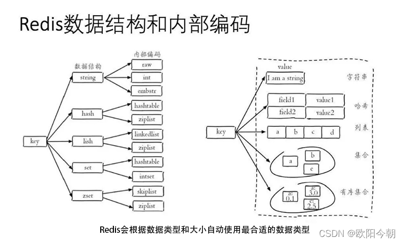 API 的理解和使用-全局命令与编码