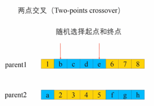 遗传算法染色体交叉python
