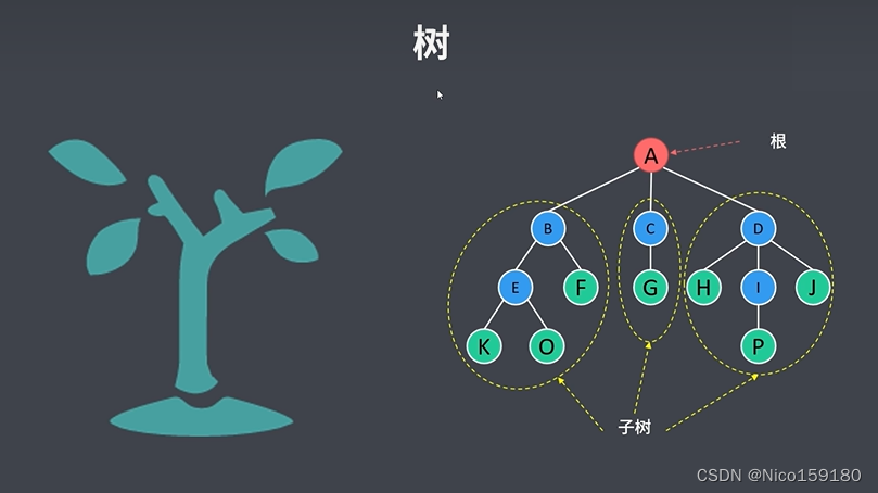 树的概念和相关性质_树在动力学中代表什么-CSDN博客