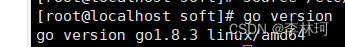 go version执行结果
