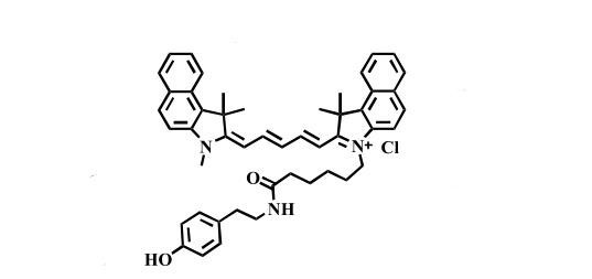 Tyramide Cy5.5,Cyanine5.5 Tyramide,花青素Cy5.5酪酰胺远红色近红外发射染料