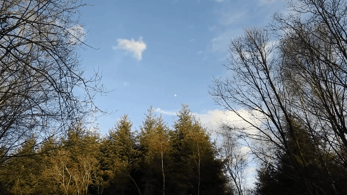 摄影光学与镜头pdf都叫变焦效果可能天差地别一文看懂光学变焦和数码