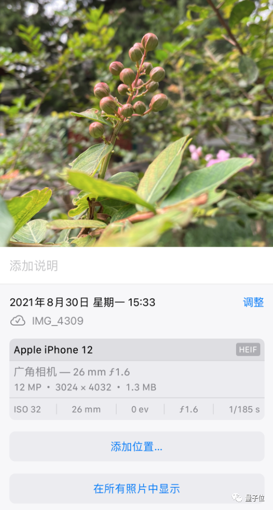 苹果iOS 15发布：关机也能定位，ASMR重度用户狂喜，这波库克又“去苹果化”了...