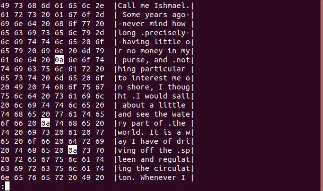 Output from hexdump in less in a terminal window with newline characters highlighted