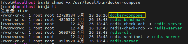 image-20220523202853711