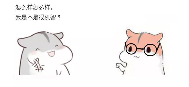 00414088dd6c8f2da9c34f7ef81320f3.png
