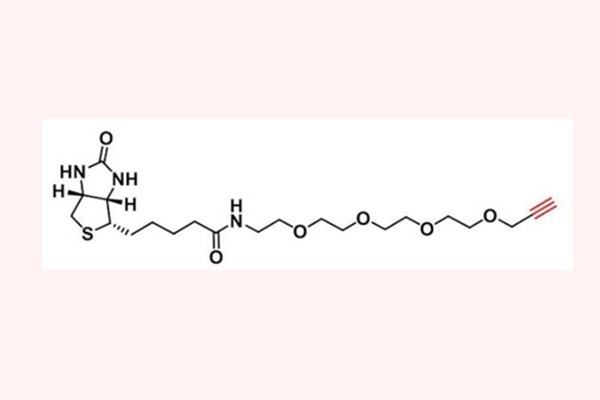 可发生点击化学反应:1458576-00-5,Biotin-PEG4-alkyne,生物素-四聚乙二醇-炔