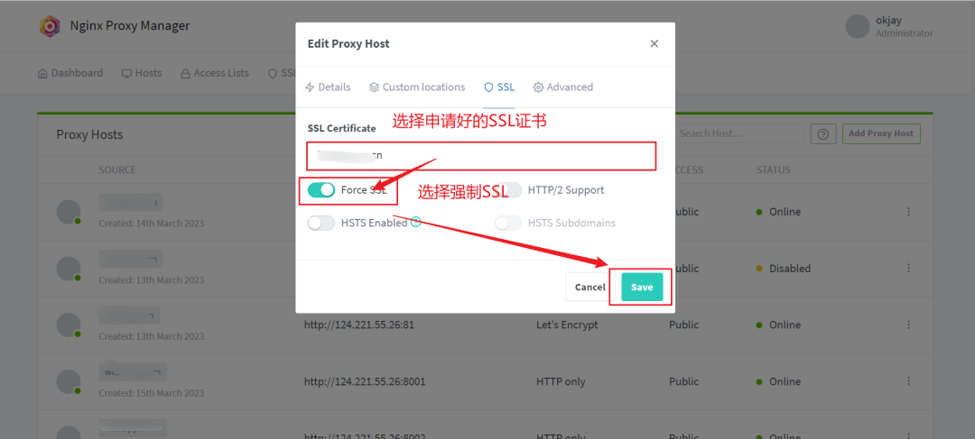 Nginx可视化管理实战攻略：提升管理效率新途径