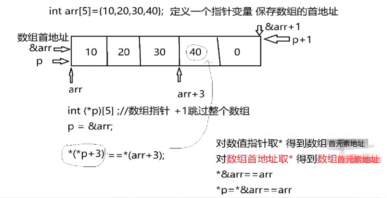 数组指针