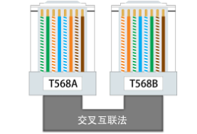 网线水晶头排线图片