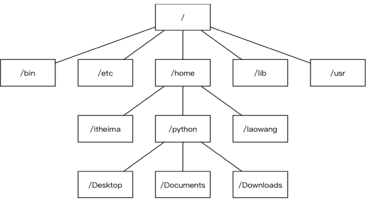 阶段二Linux 高级编程：Linux基础命令一017