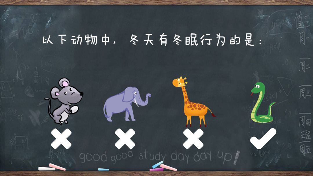 00f8787a8c51c7870a787c9e70471ba0.png