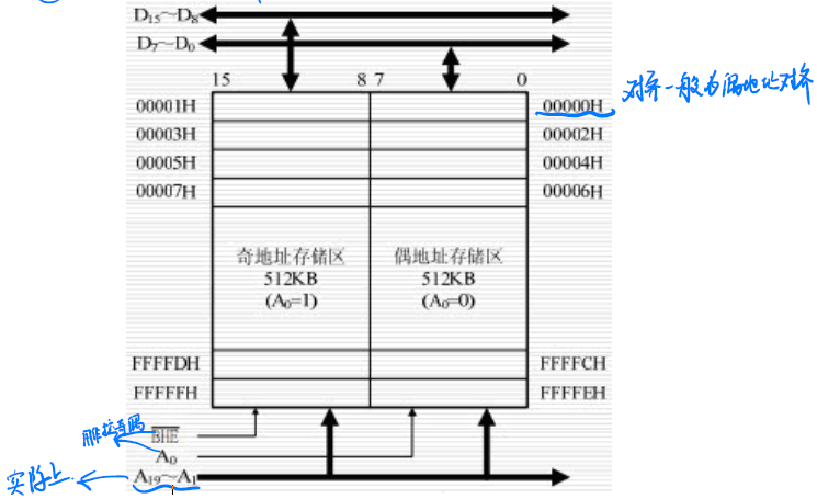 image-20220416210556087