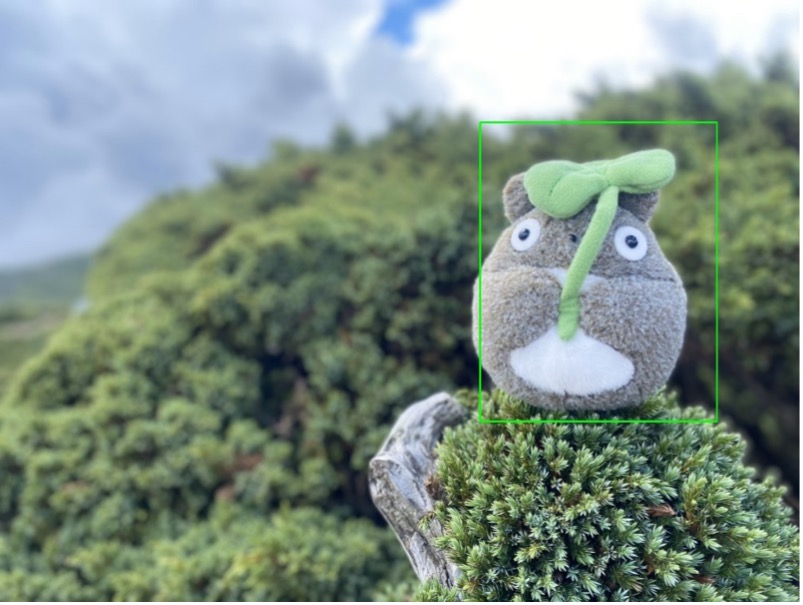 Object Detection 实现结果呈现 成功检测出豆豆龙(物件)。