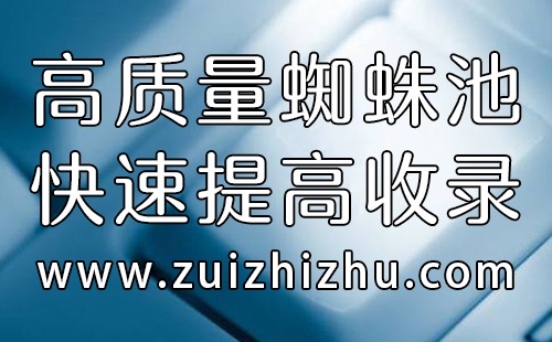 最蜘蛛池：解析网站流量波动的原因及应对策略