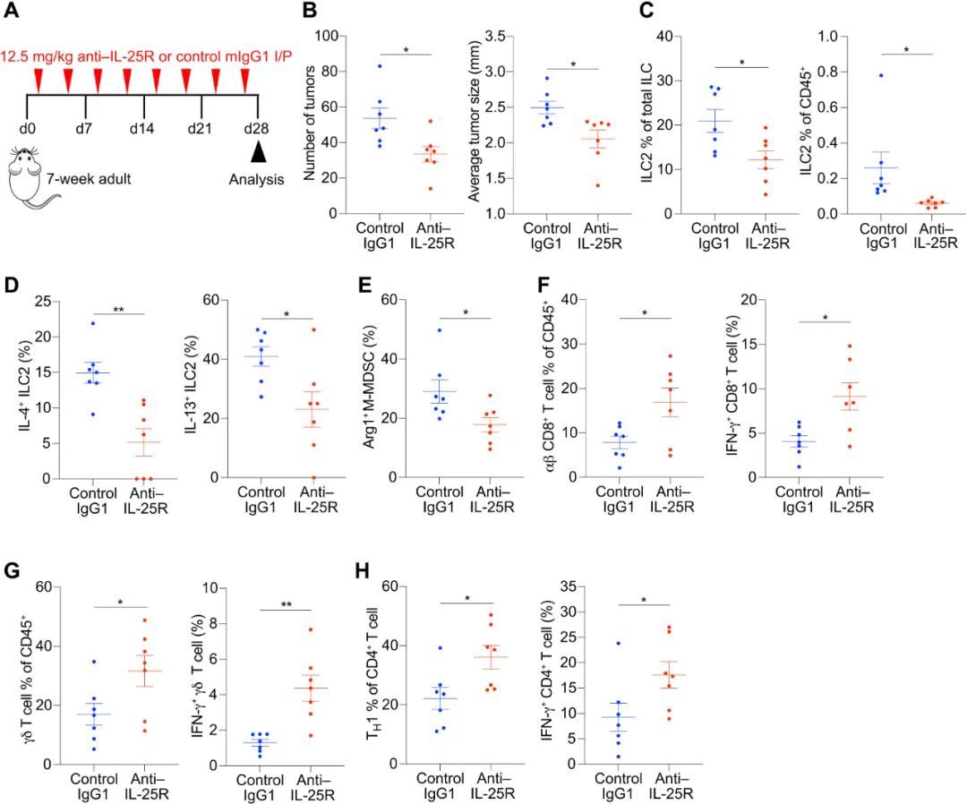 Sci Immunol丨先天性 IL-25-ILC2-MDSC 轴