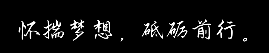 雷军传-怀揣梦想，砥砺前行