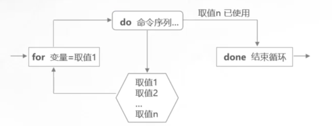 Shell编程之循环语句与函数_bash