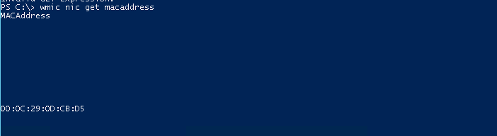 Print Network Interface Mac Addresses