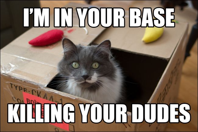 如何保存meme的网页图片_meme图片的字体用途是什么(以及如何制作它们