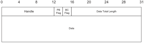 HCI_Data_Packet_Format