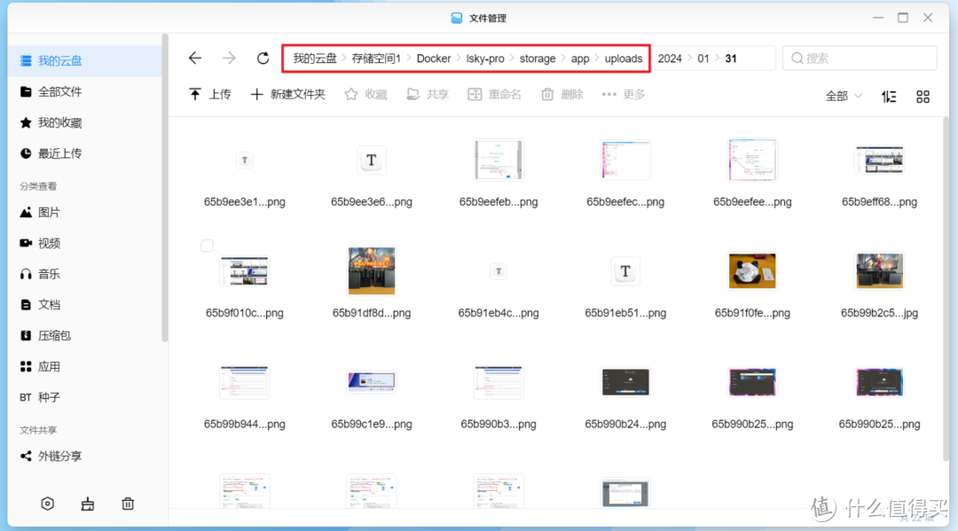 NAS如何成为生产力？使用绿联DX4600 Pro搭建图床并实现创作自由