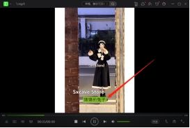 简单一招教你给大量视频添加srt字幕