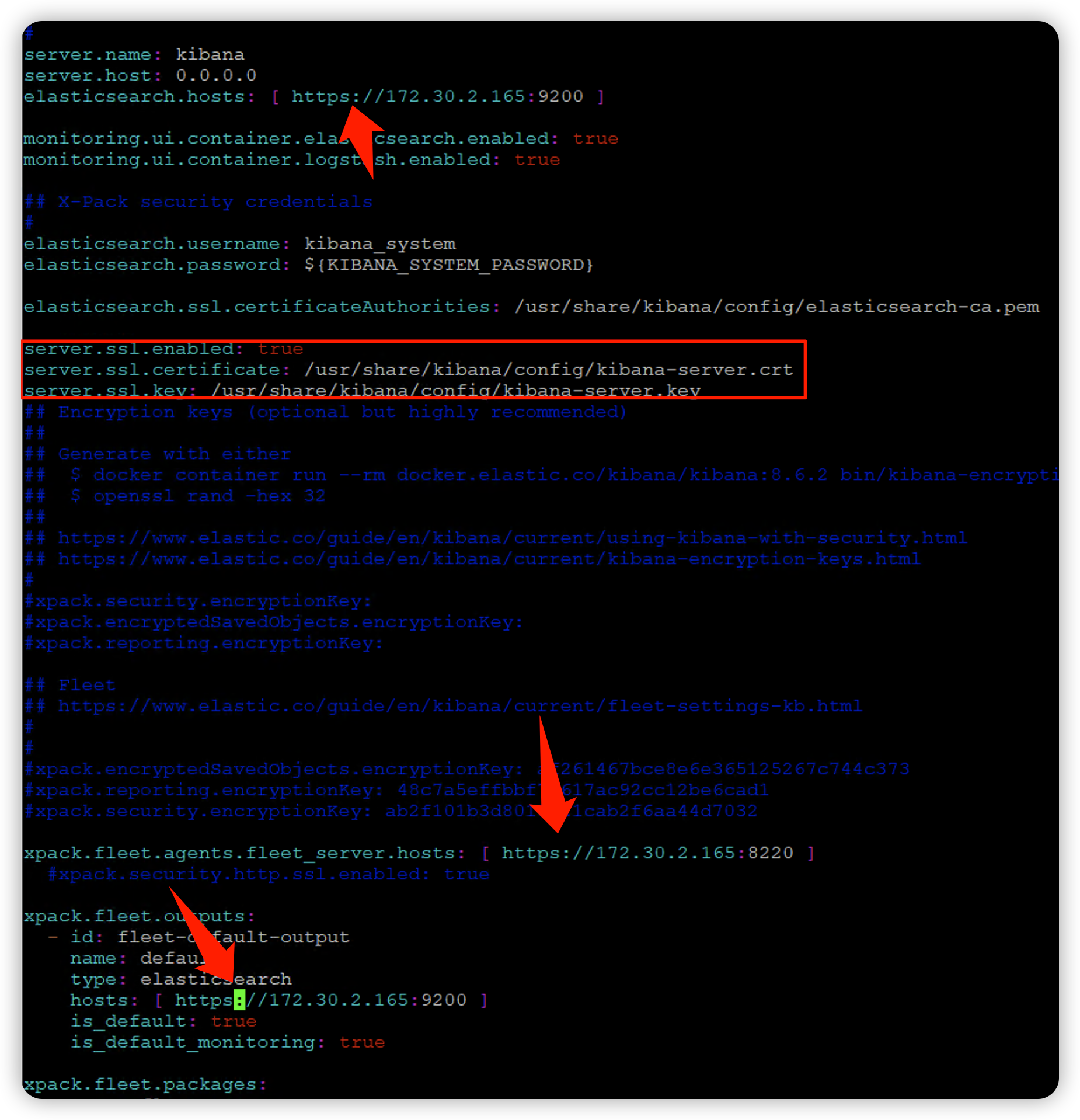 Docker Elastic Stack 启用https_https_27