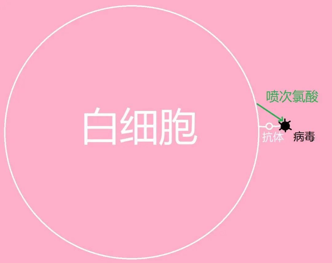 02aadc6ce2cfb1dc6976a0707adb2754.jpeg