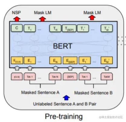 探索人工智能新纪元：Pre-Training 快速指南，轻松上手