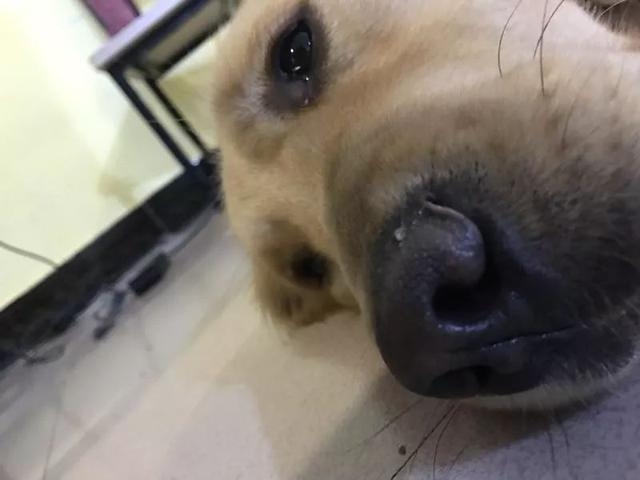 02c7b20e04f047d25de42f24d8405a06.png