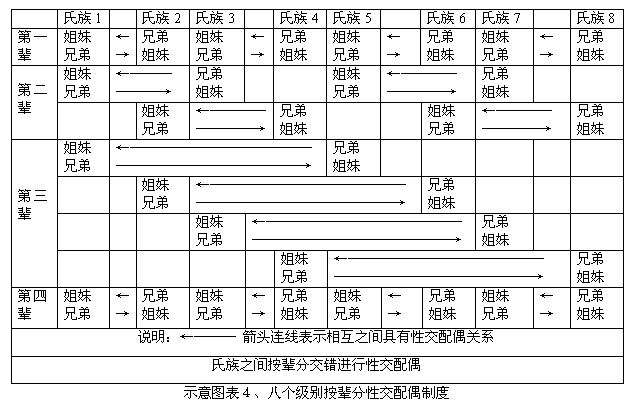 我国亲等计算法示意图图片