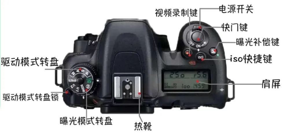 三,单反相机顶部