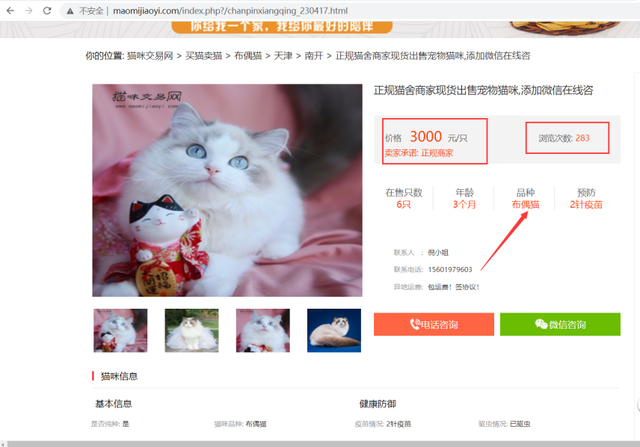 什么品种的猫最受欢迎？Python爬取猫咪网站交易数据[通俗易懂]