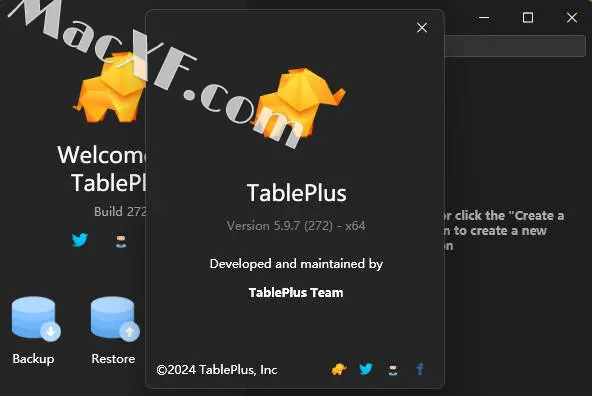TablePlus for Mac/Win：开启高效数据开发新纪元