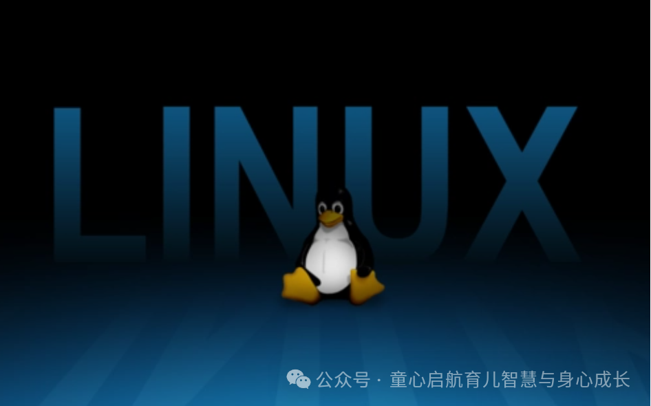 前 10 个基本 Linux 命令_linux