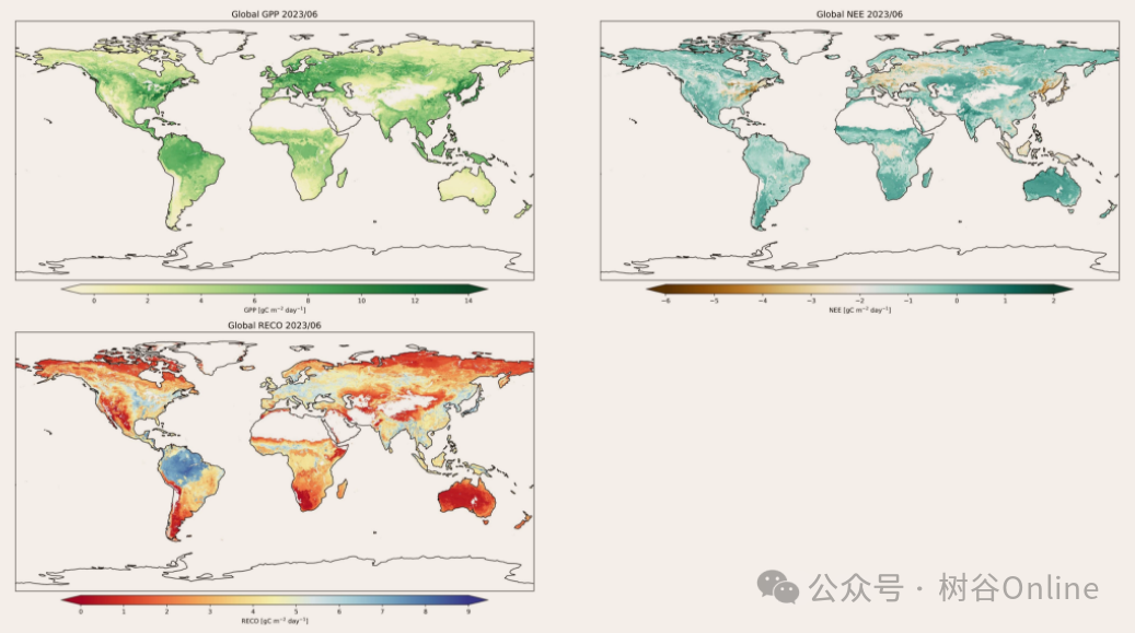 全球碳循环数据集（2000-2023）包括总初级生产力、生态系统净碳交换和生态系统呼吸变量