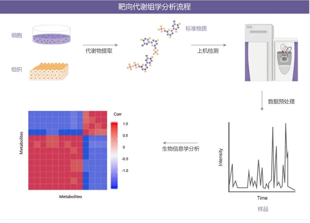 代谢组学——最接近生物表型的组学