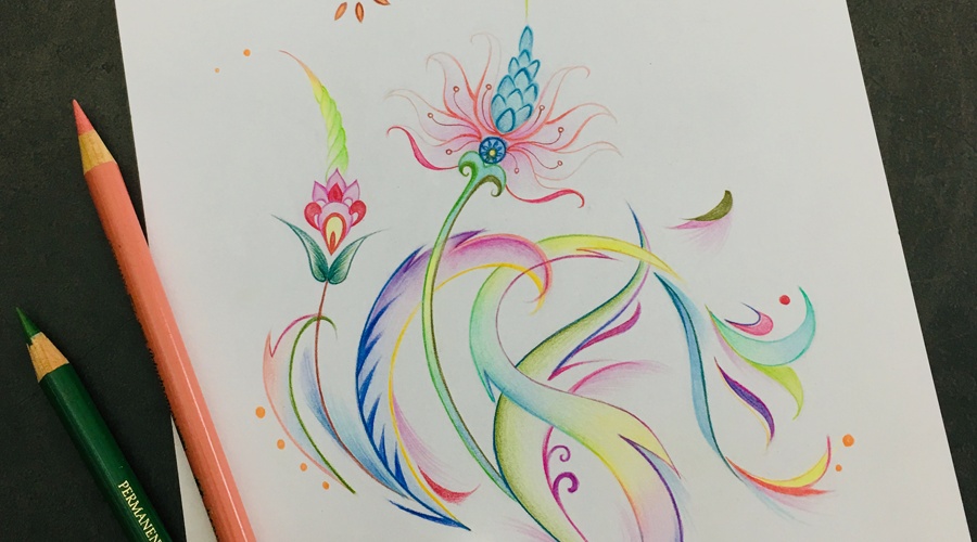 js两个点给线条加宽度_用感性的方式练习线条,凤尾花21,彩铅手绘教程.