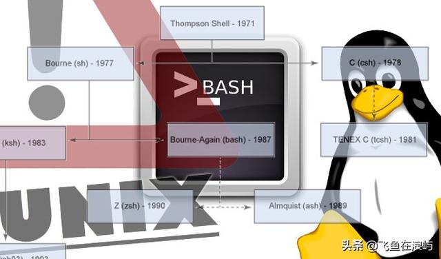 Bash给脚本加进度条 Bash的陷阱 以及如何避免踩坑 Weixin 的博客 Csdn博客