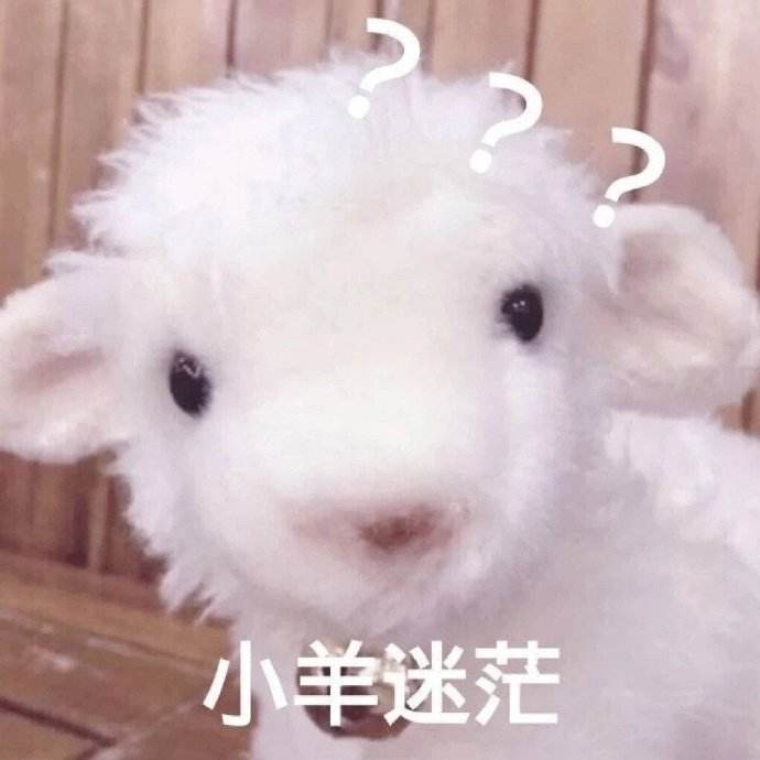 039d02b6ffae22c9b6d4306acc10292e.jpeg