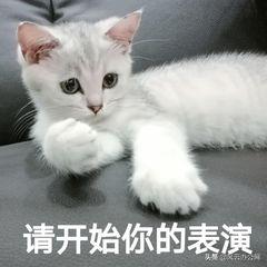 039f68be794719d01f29fd342628c3a3.png