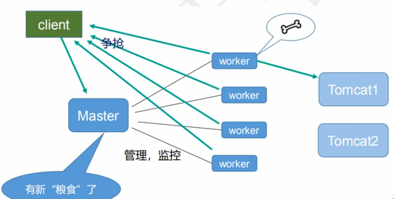 【学习笔记】nginx的学习笔记