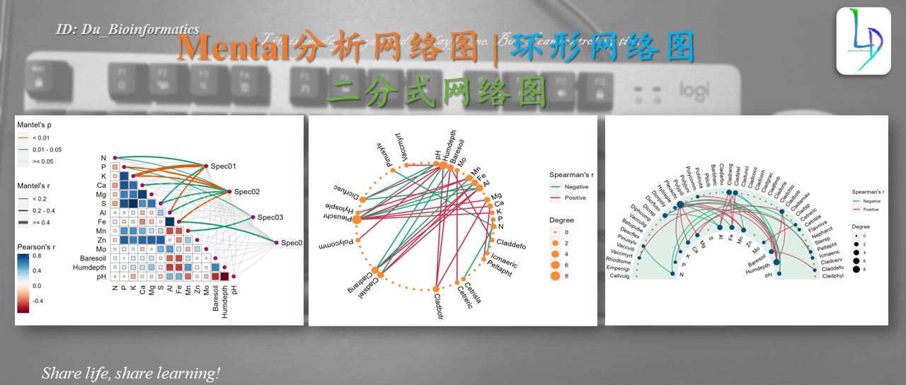 相关性网络图