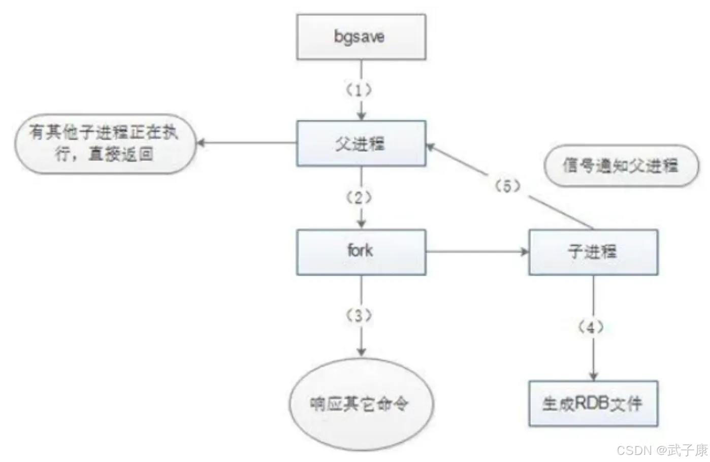 大数据-46 Redis 持久化 RDB AOF 配置参数 混合模式 具体原理 触发方式 优点与缺点_大数据_02