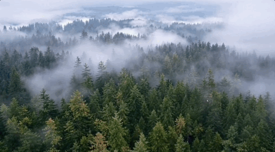 03cd12b6650a2686552a6a93effa6b01.gif