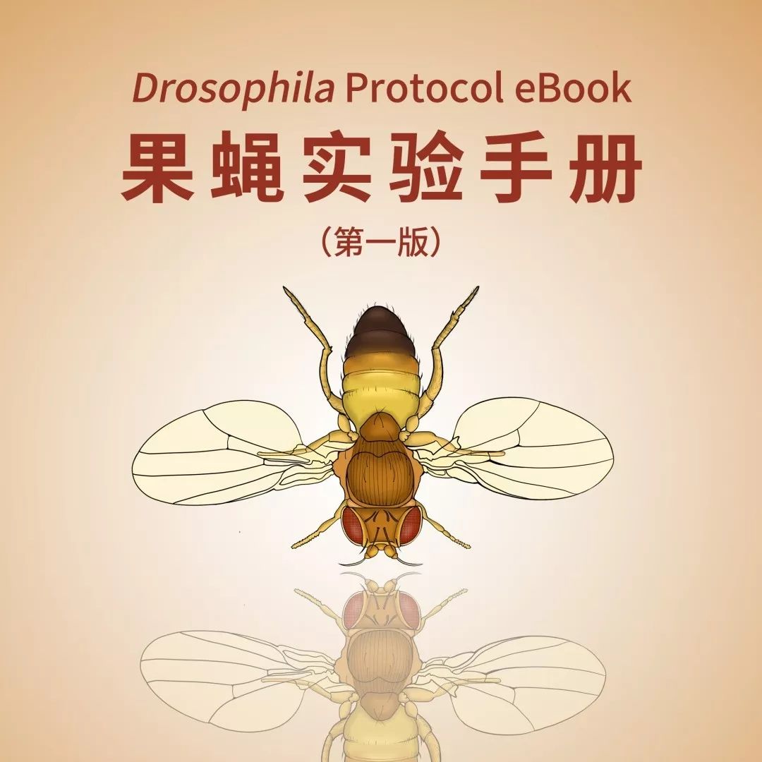 中科院分子细胞科学卓越创新中心化学生物学技术平台与Bio-protocol联合发布——《高内涵成像及分析实验手册》... 配图10