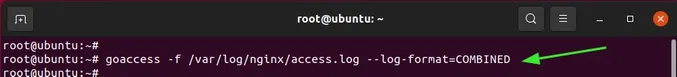 Goaccess-nginx-access-log-combined-linux