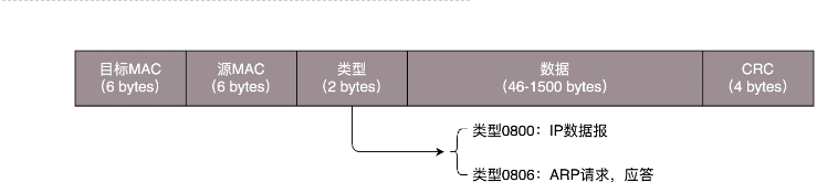 网络协议丨从物理层到MAC层