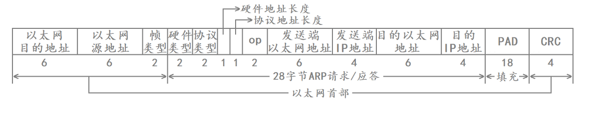 【网络编程】第十一章 数据链路层 - 以太网（MAC+MTU+ARP+MSS+RARP）